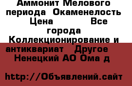 Аммонит Мелового периода. Окаменелость. › Цена ­ 2 800 - Все города Коллекционирование и антиквариат » Другое   . Ненецкий АО,Ома д.